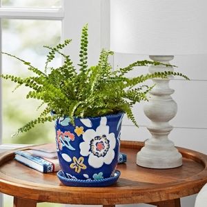 ❤️ New Pioneer Woman Magic Meadows 6" Round Ceramic Planter